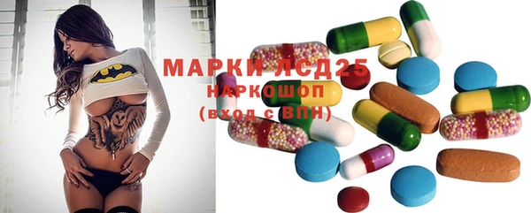 индика Алексин