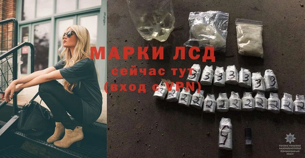 индика Алексин