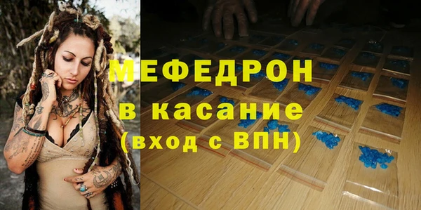 индика Алексин