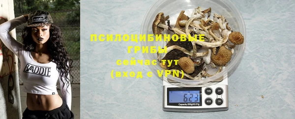 прущие крисы Абаза