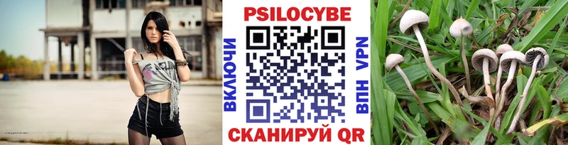 цена наркотик  Кадников  darknet состав  Галлюциногенные грибы ЛСД  ссылка на мегу сайт 