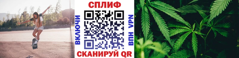 Марихуана OG Kush  Кадников 